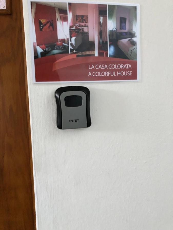 La Casa Colorata Daire Pisa Dış mekan fotoğraf
